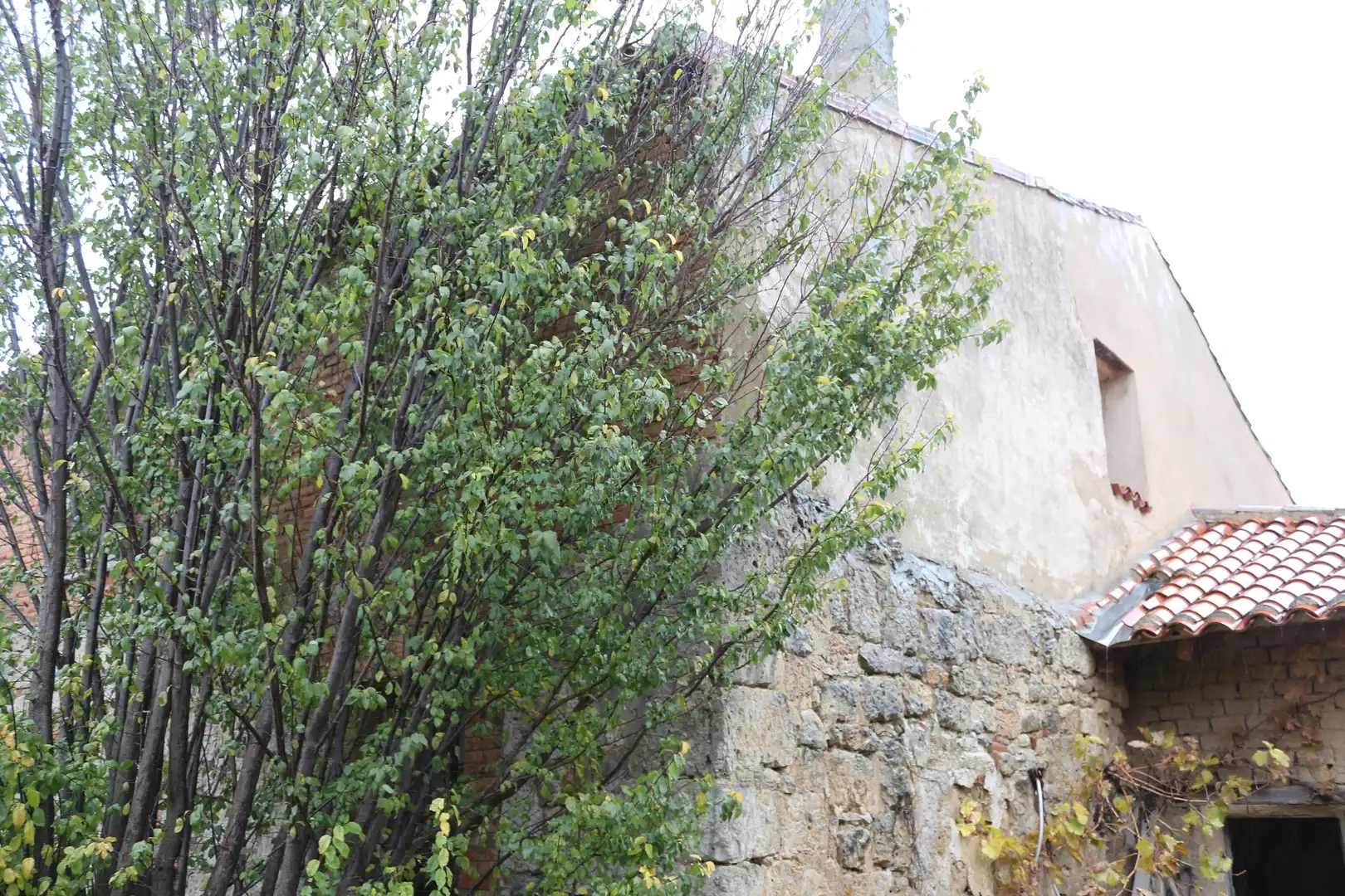 Casa o chalet en venta en Castrillo Mota de Judíos
