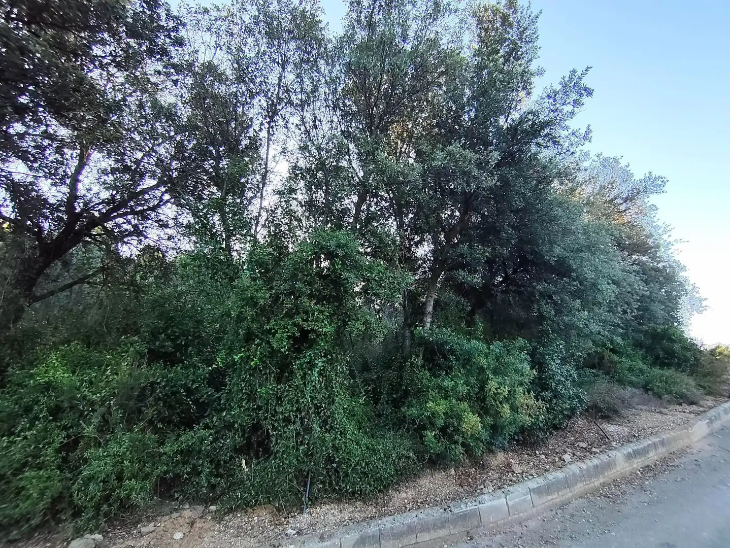 Terrenys i solars en venda a Sant Martí de Llémena