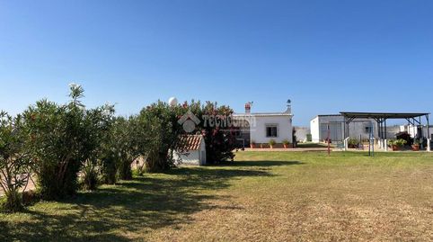 Foto 3 de Finca rústica en venda a Pelagatos - Pago del Humo, Chiclana de la Frontera