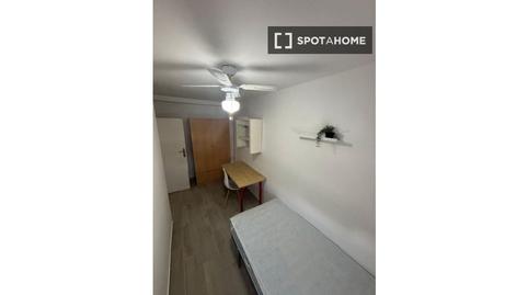 Photo 3 of Flat to share in San Pablo, Sevilla