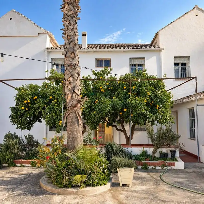 Maison avec terrasse à vendre à Calle Sevilla 1, imagen 9