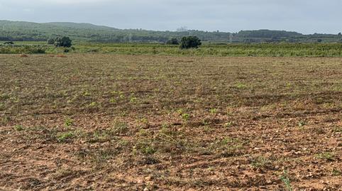 Foto 4 de Finca rústica en venda a L'Arboç, Tarragona