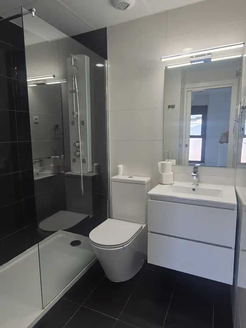 Apartament amb piscina de lloguer a Calle de Protasio Gómez, imagen 14