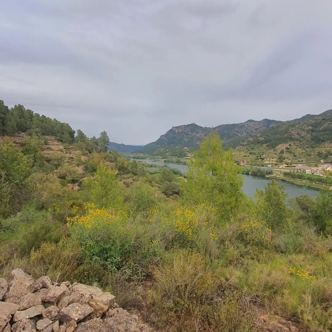Terrain rustique à vendre à Benifallet, imagen 18