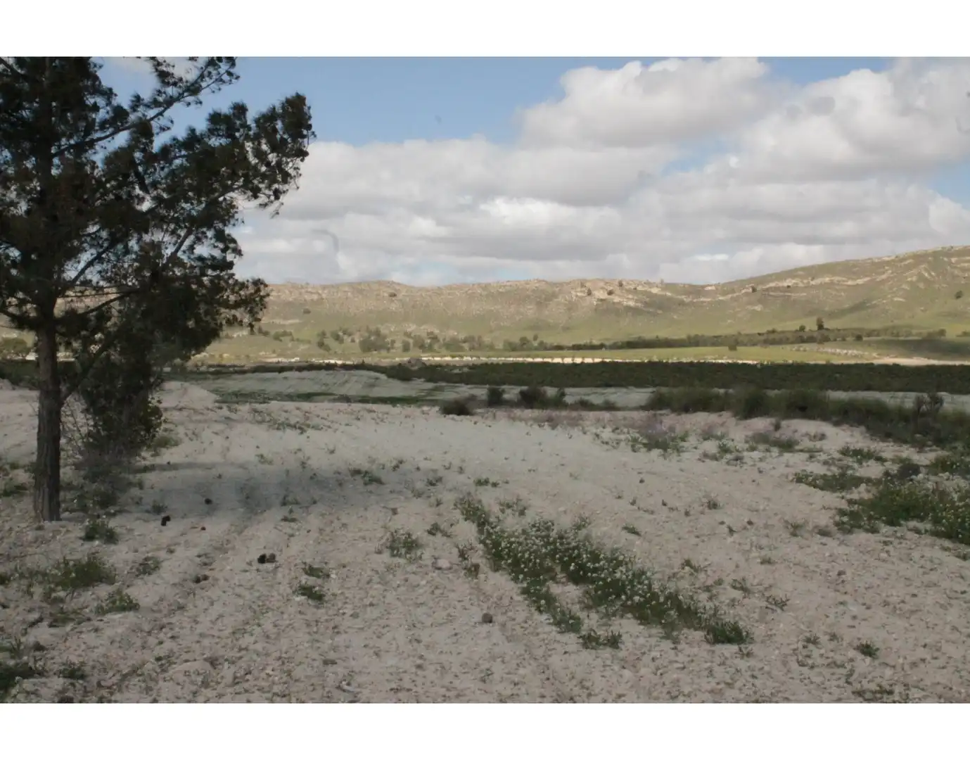 Country house for sale in Jumilla, imagen 44
