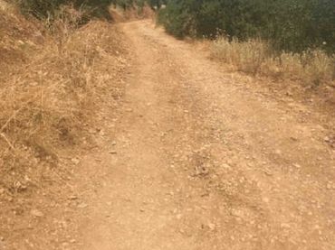 Rustikales Grundstück zum Verkauf in Martos