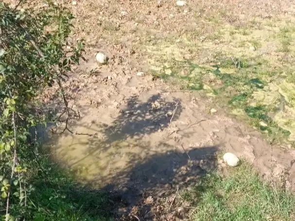 Rustikales Grundstück zum Verkauf in Rebato 1, imagen 10