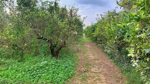 Photo 5 of Country house for sale in Bítem, Tarragona