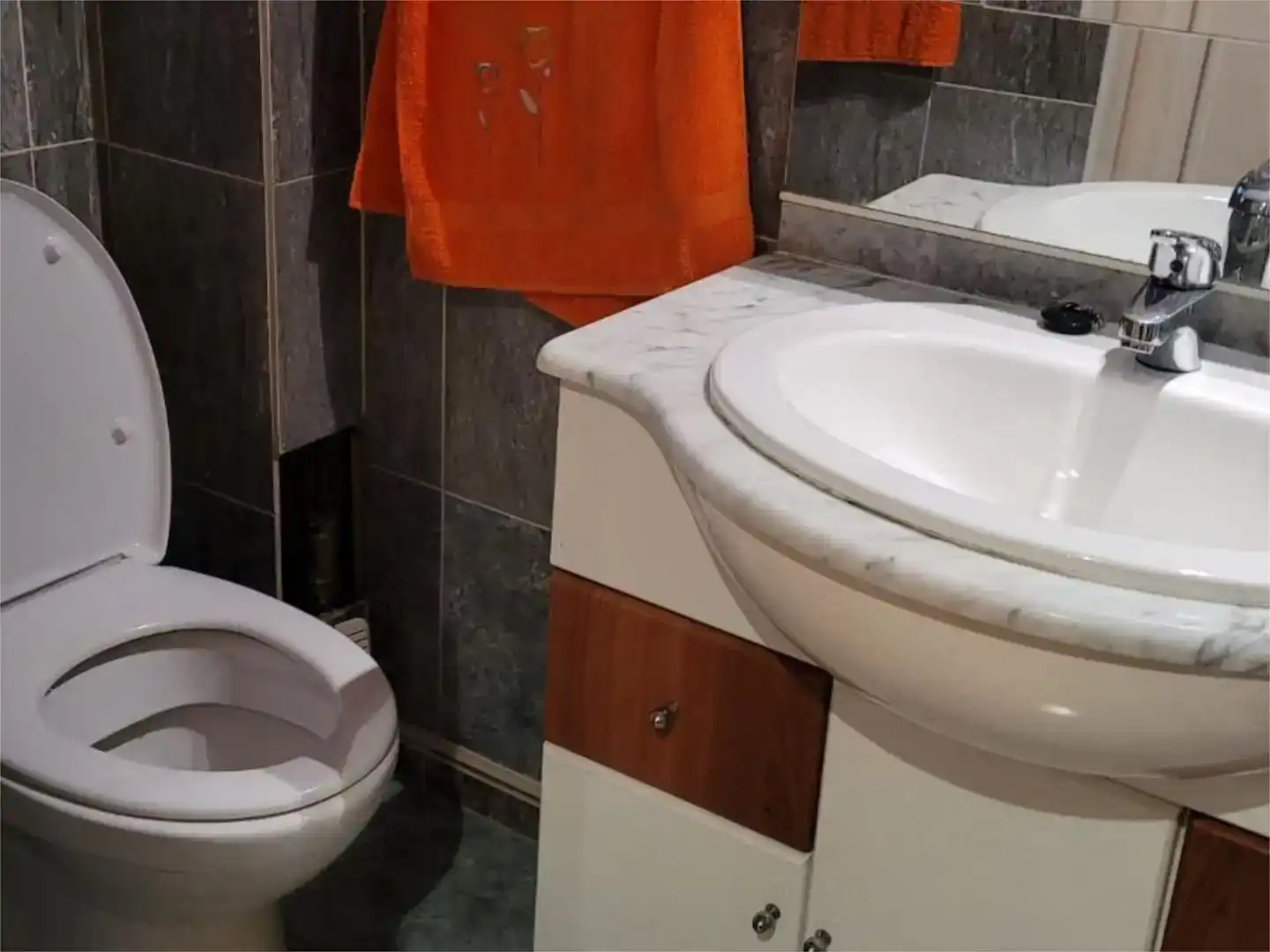 Badezimmer von Fabrikhallen zum Verkauf in Vicién