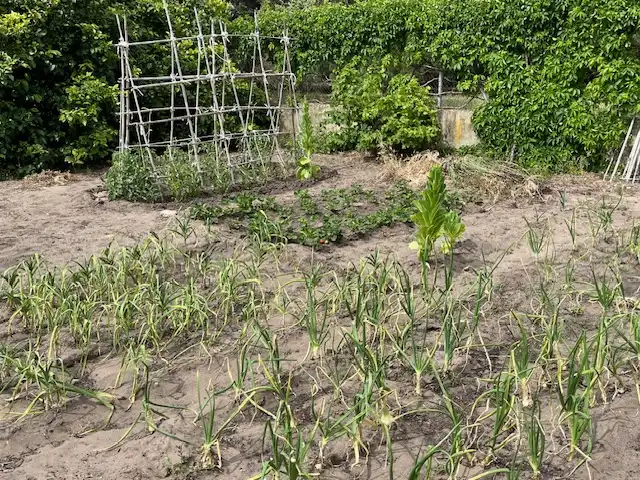 Terreni e lotti in vendita a Zafra, imagen 16