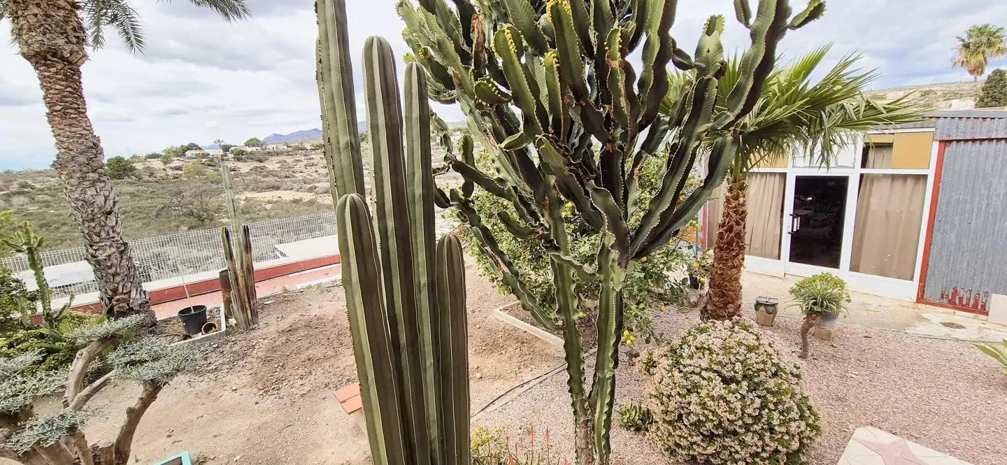 Jardí de Casa o xalet en venda en Elche / Elx amb Aire condicionat, Jardí privat i Traster