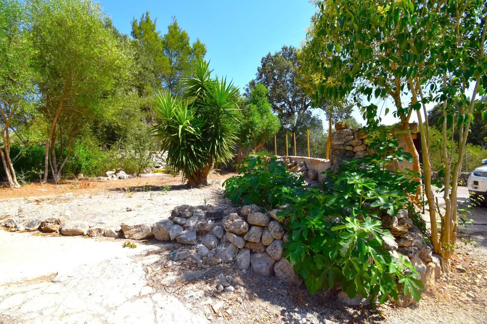 Jardí de Finca rústica en venda en Muro
