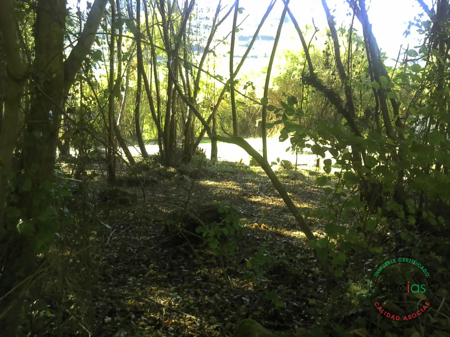 Terreno rustico in vendita a Gijón - BARRIO SAN PELAYO - CALDONES, imagen 20