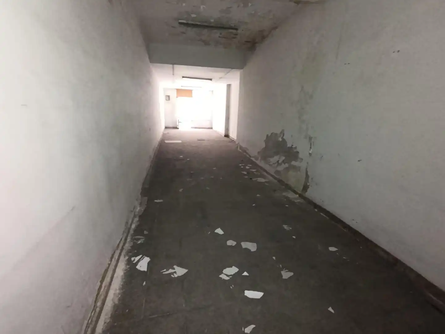 Local comercial en venta en ANTONIO LUCIO VILLEGAS, imagen 9