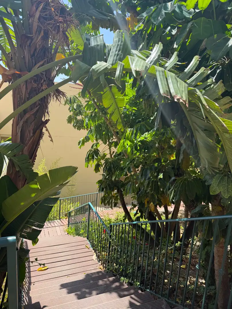 Vista exterior de Apartament de lloguer en Mijas amb Aire condicionat, Calefacció i Terrassa