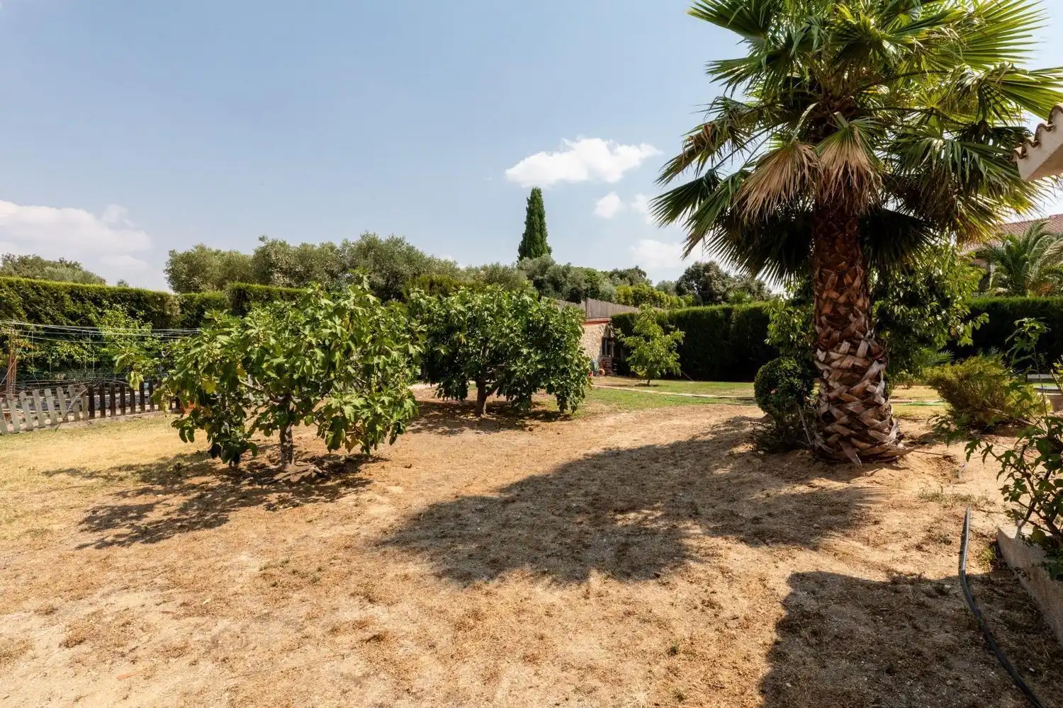 Jardí de Casa o xalet en venda en Batres amb Aire condicionat, Calefacció i Jardí privat