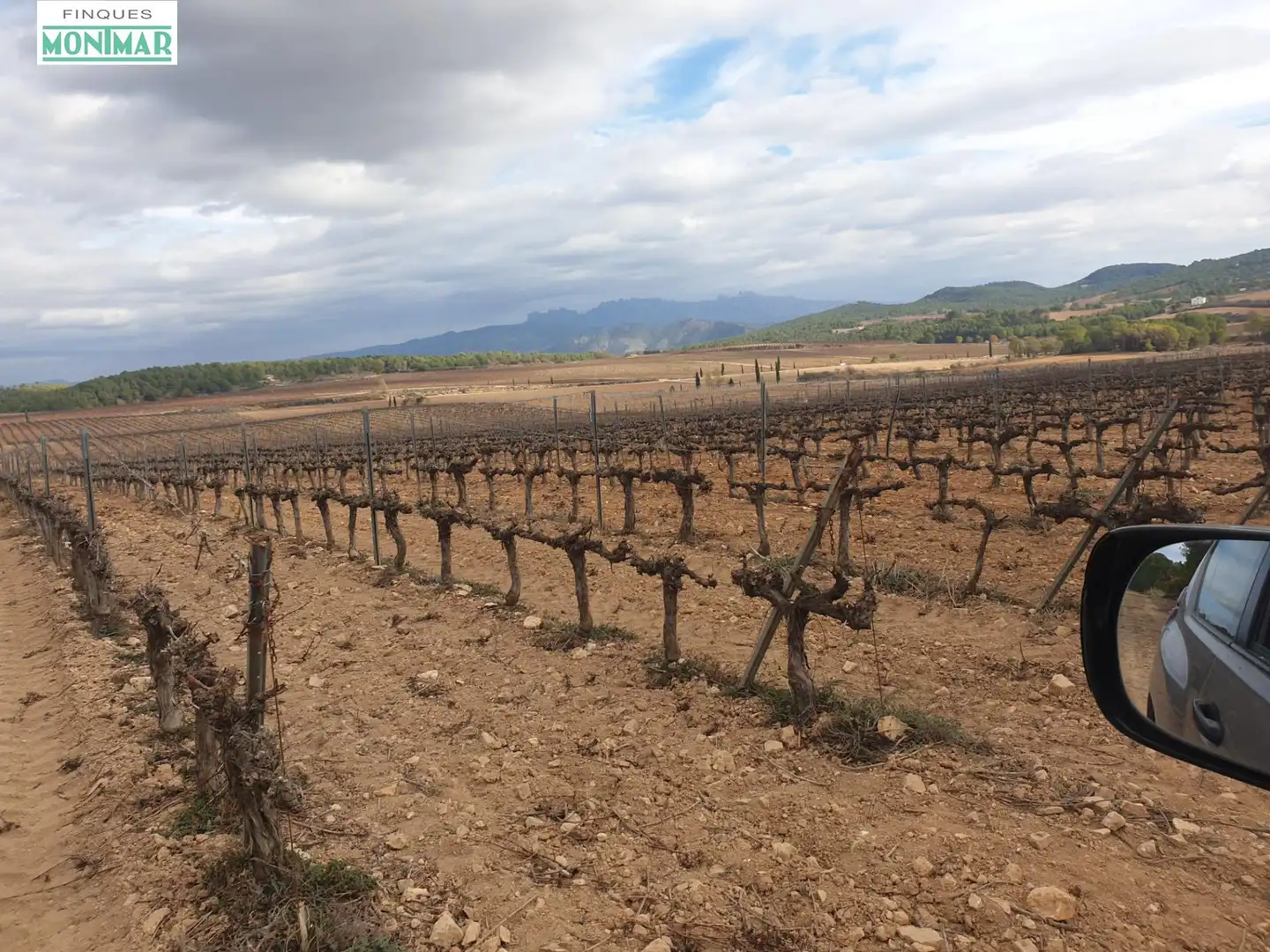 Finca rústica en venda en Vilafranca del Penedès