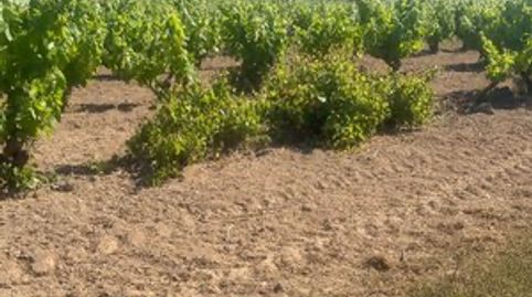 Foto 4 de Terreny en venda a Carrer de L'hospital, 22, L'Arboç, Tarragona