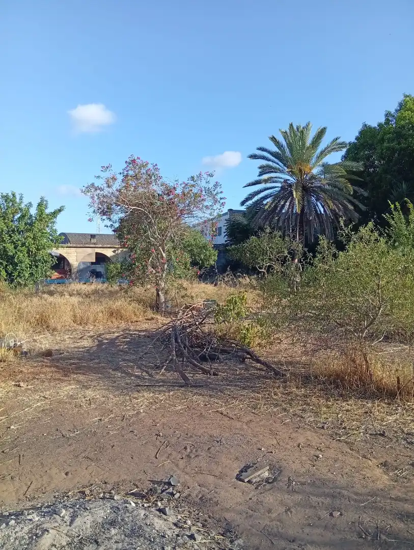 Terreni e lotti in vendita a La Hacienda - Nueva Andalucía, imagen 38