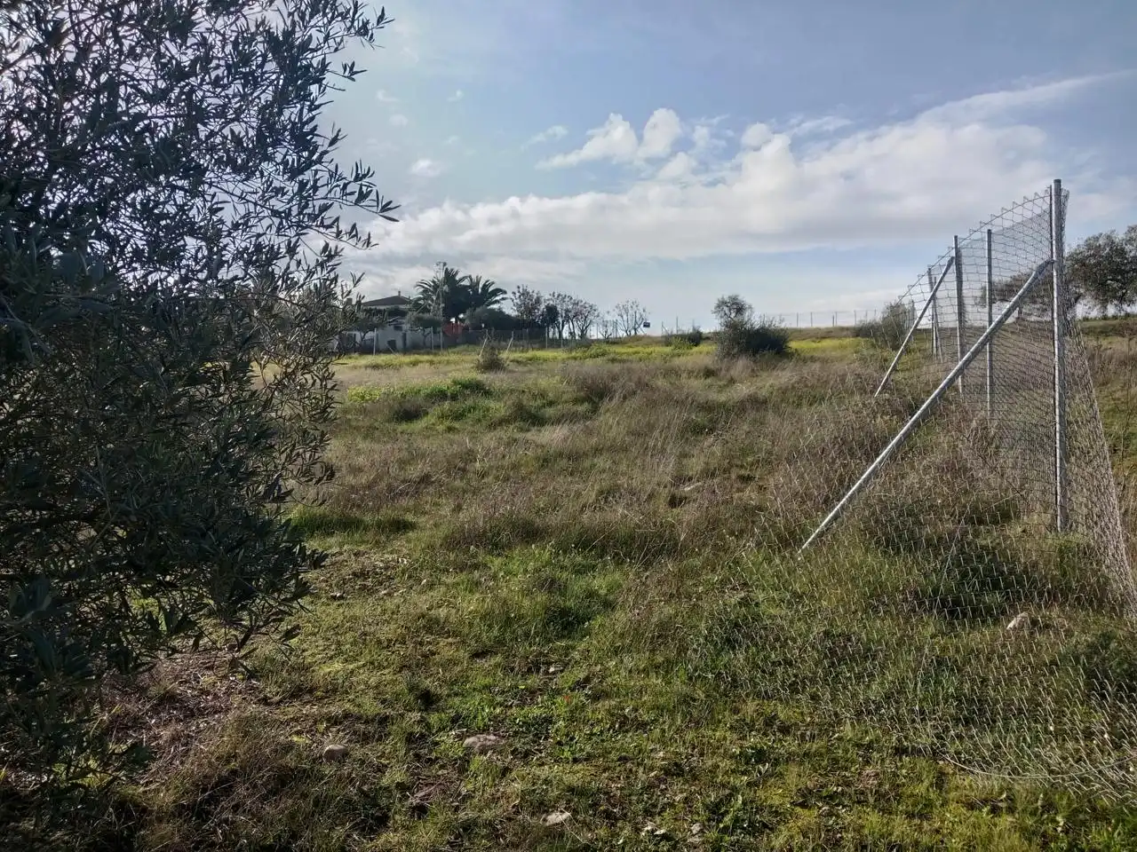 Terreni e lotti in vendita a Oeste, imagen 7