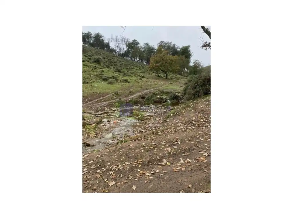 House for sale in Diseminados Carrascal, imagen 24