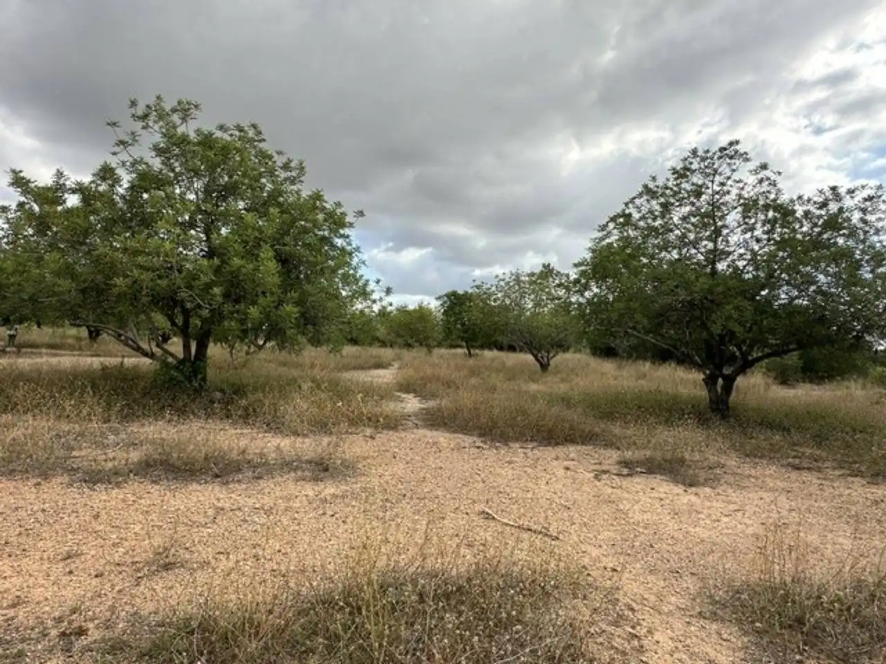 Terreno rústico en venta en Camino la formiga, imagen 8
