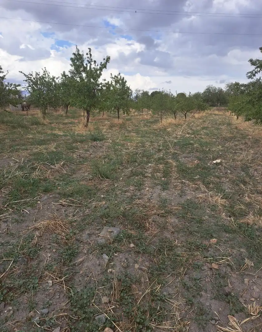 Lands and plots for sale in Lanteira, imagen 2