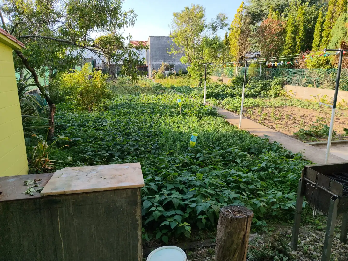 Garden of Attic for rent in Ribeira  with Heating, Private garden and Parquet flooring