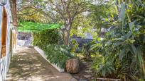 Garden of House or chalet for sale in El Sauzal