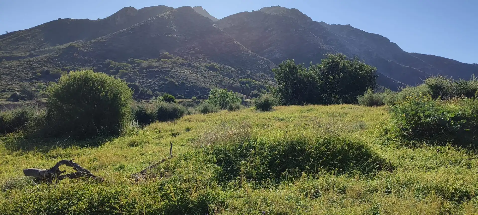 Land for sale in Cartagena