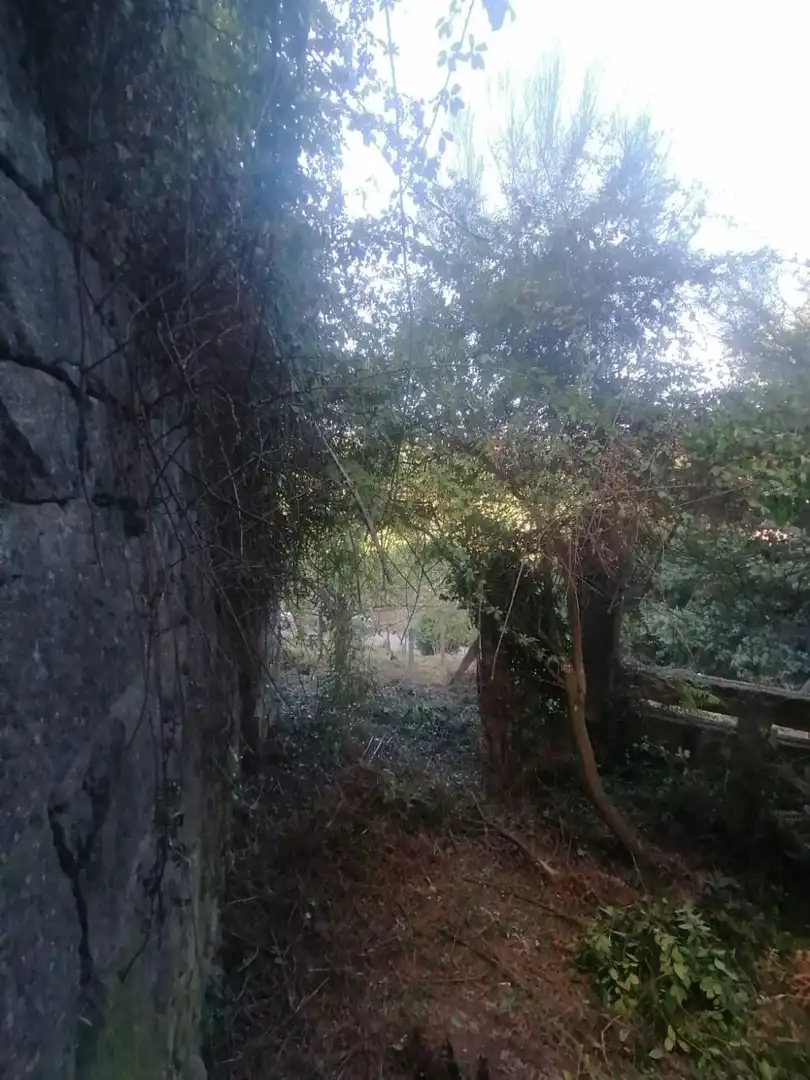 Haus zum Verkauf in Arbo, imagen 9
