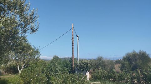 Foto 5 de Finca rústica en venda a La Punxa, Palafrugell