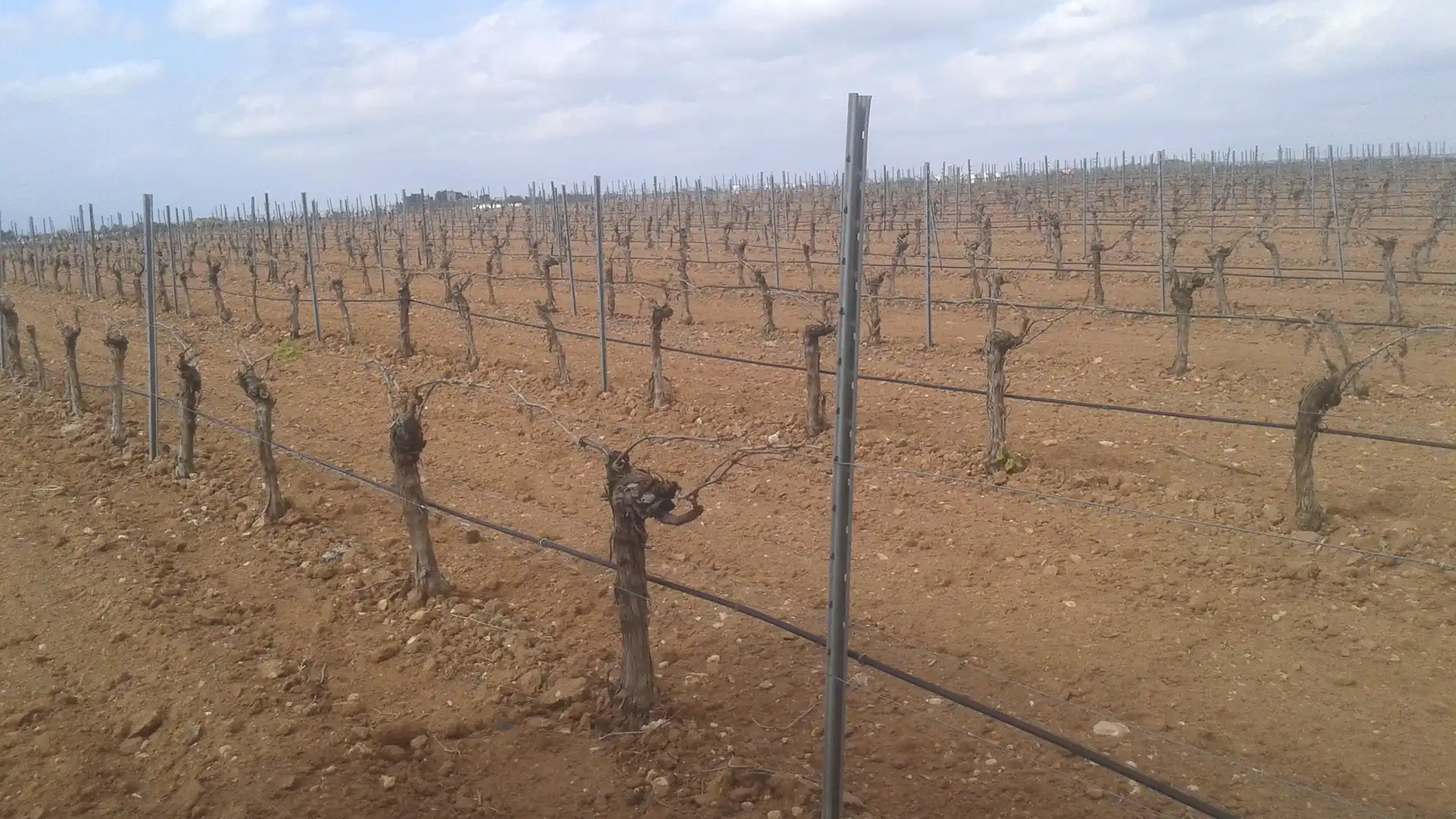 Terrenys i solars en venda a Las Mesas, imagen 24