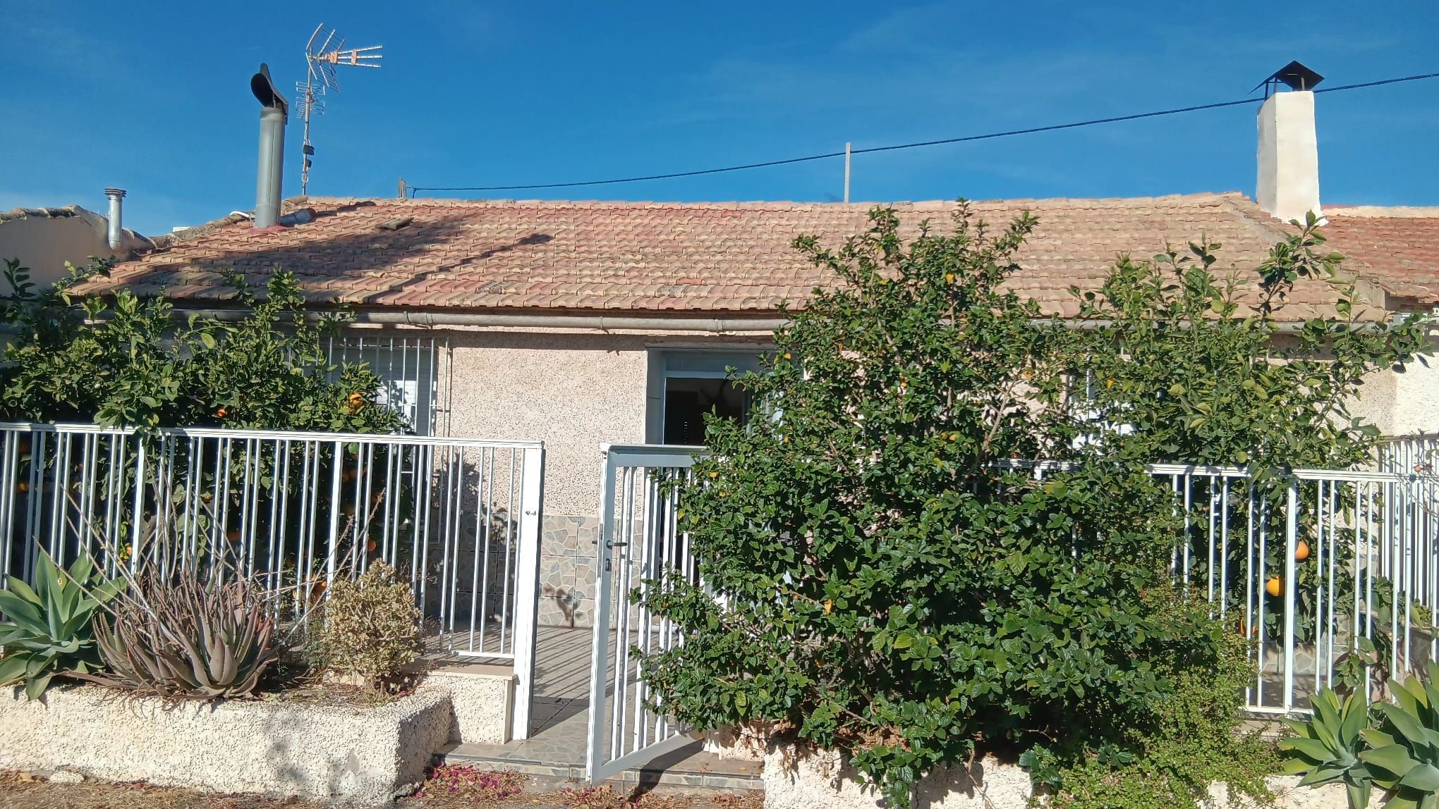 Vista exterior de Casa o xalet en venda en  Murcia Capital amb Aire condicionat, Jardí privat i Terrassa