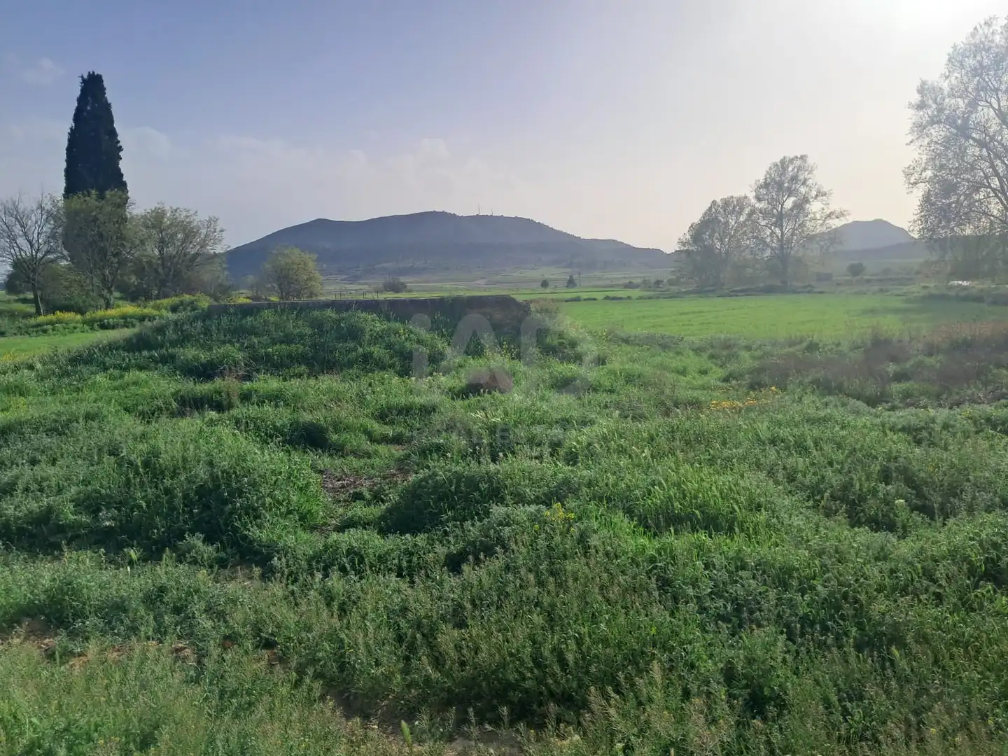 Detached homes for sale in Lorca
