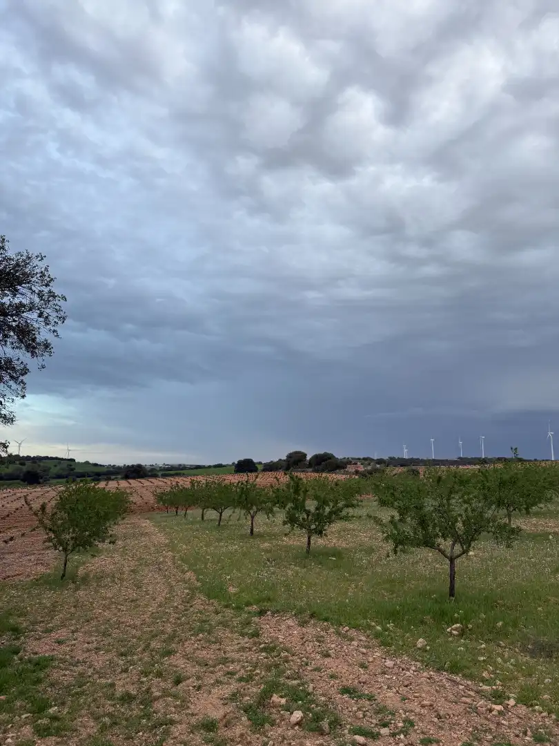 Terreno rustico in vendita a CM-3106 7, imagen 2