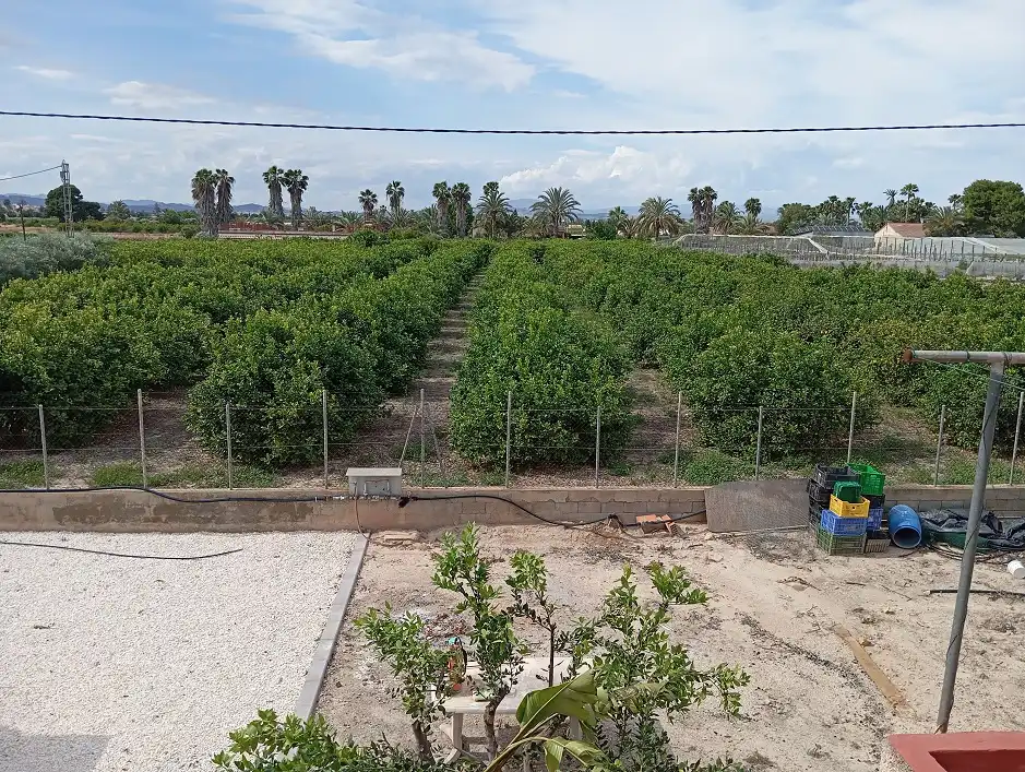 Casa o chalet en venta en Elche / Elx con Jardín privado, Terraza y Piscina