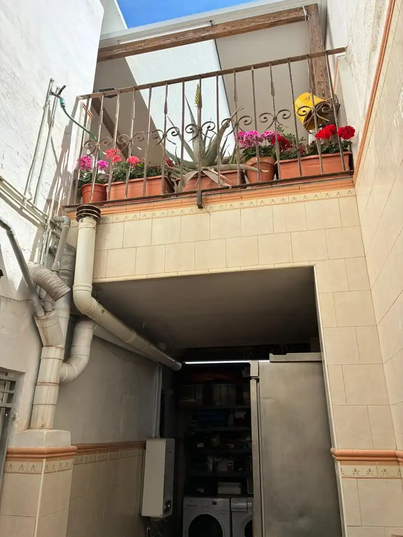 Exterior view of Houses for sale in Molina de Segura