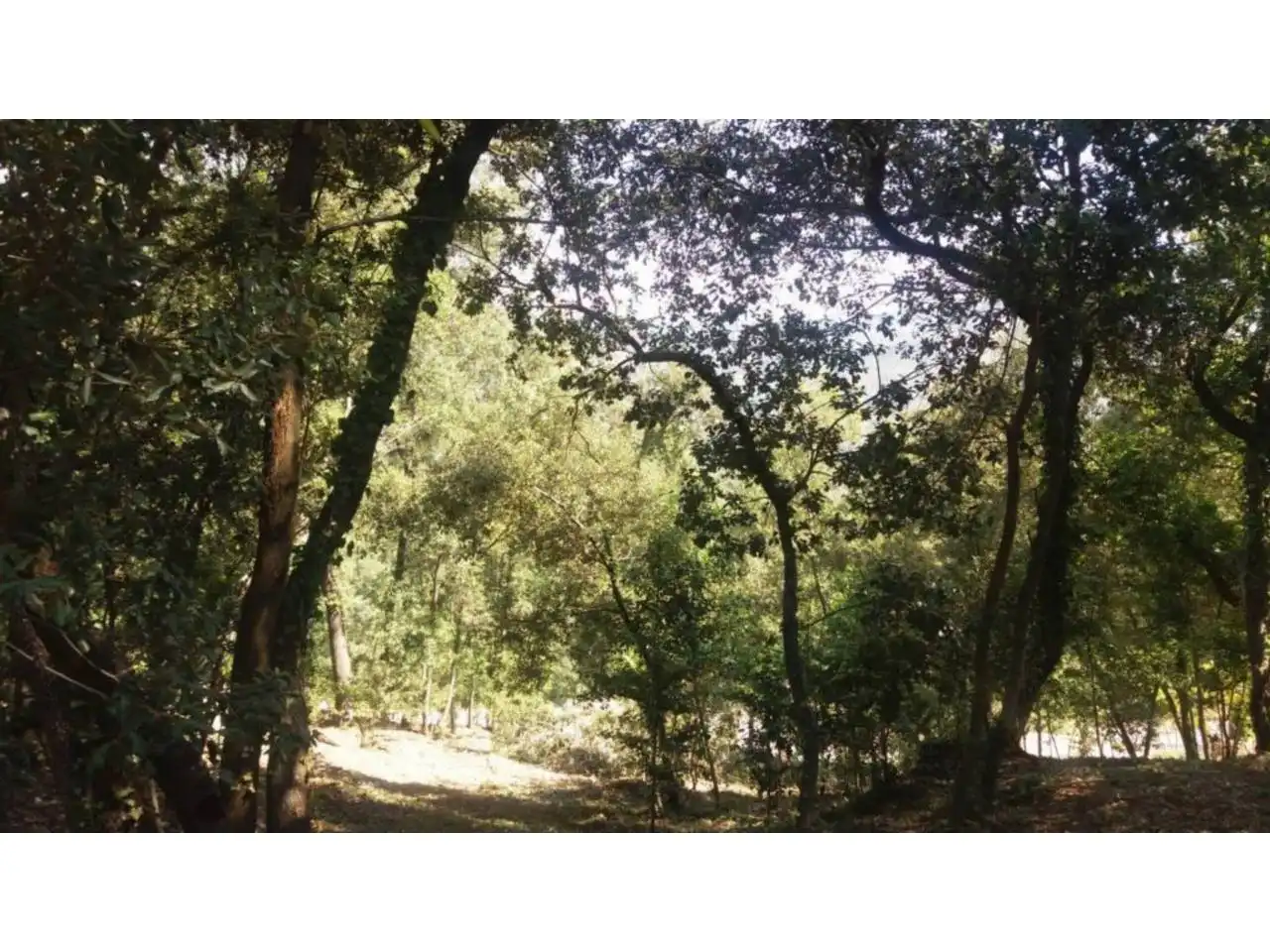 Terreno en venta en Sant Quirze Safaja