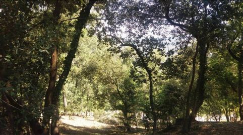Foto 5 von Grundstücke zum Verkauf in Strasse Urbanizacion Pinars de Bado, 16, Sant Quirze Safaja, Barcelona
