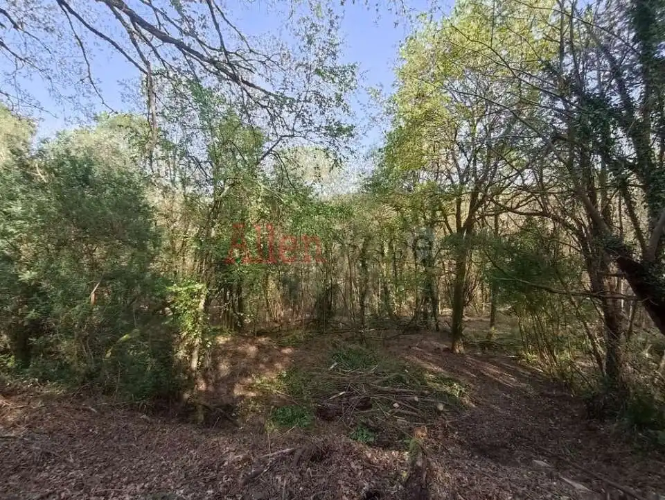 Casa o xalet en venda en Siero