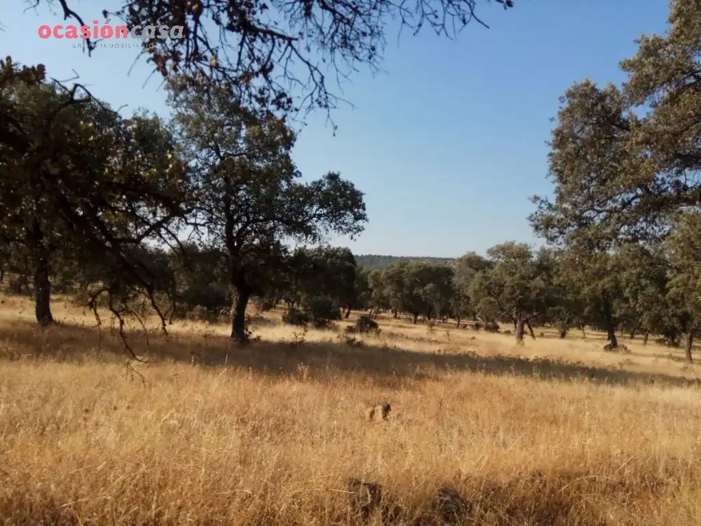 Country homes for sale in Torrecampo