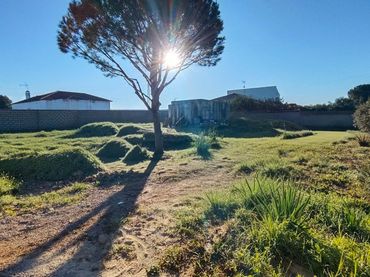 Terreno rustico in vendita a Camino ACEDERA DE LA 1