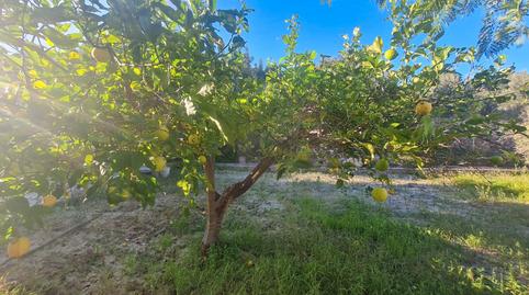 Photo 5 of Country house for sale in Orxeta, Alicante