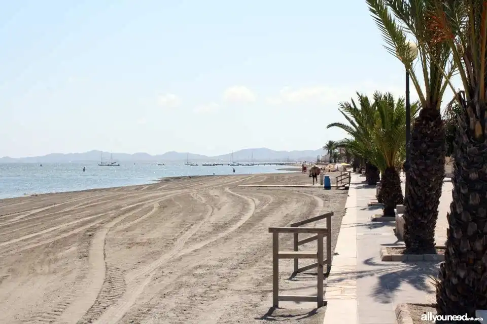 Vista exterior de Casa o xalet en venda en Cartagena amb Aire condicionat, Jardí privat i Terrassa