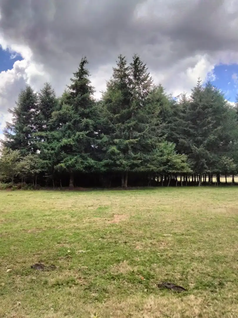 Adossat amb jardí en venda a Sobrado (A Coruña), imagen 7