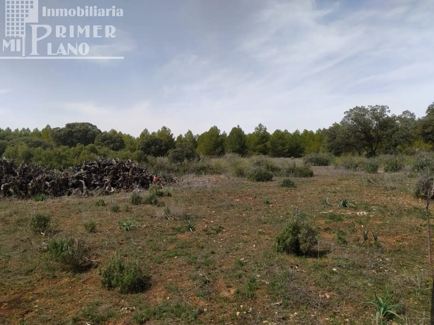 Finca rústica en venta en Socuéllamos