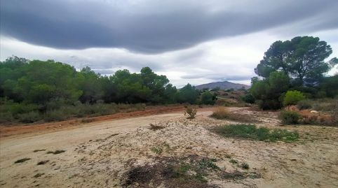 Foto 2 de Residencial en venda a Platja de Torres, Villajoyosa / La Vila Joiosa