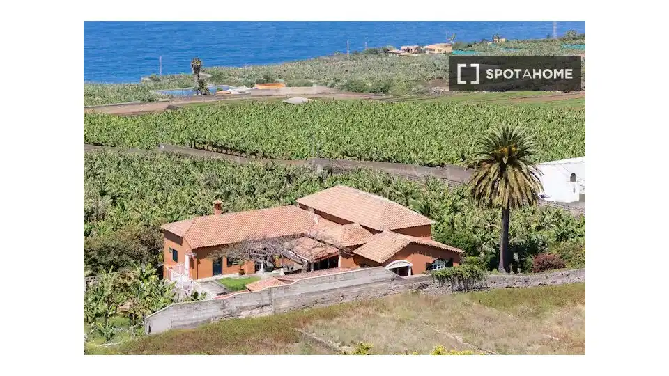 Habitació a Zona Botánico