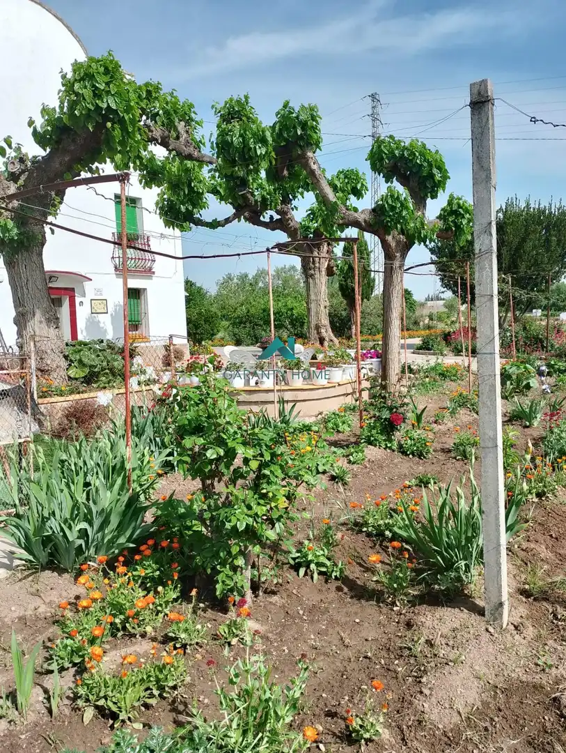 Jardín de Casa o chalet en venta en Lleida con Calefacción, Jardín privado y Trastero